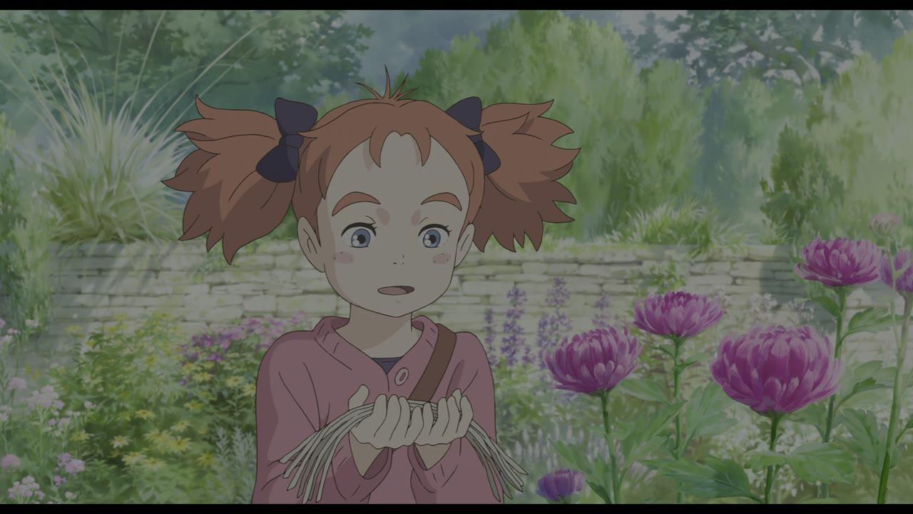 Mary et la Fleur de Sorcière